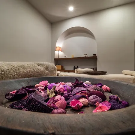 Elektra & Appart hôtel 4*